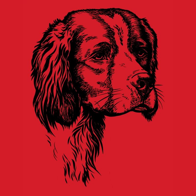 IRW Setter Portrait