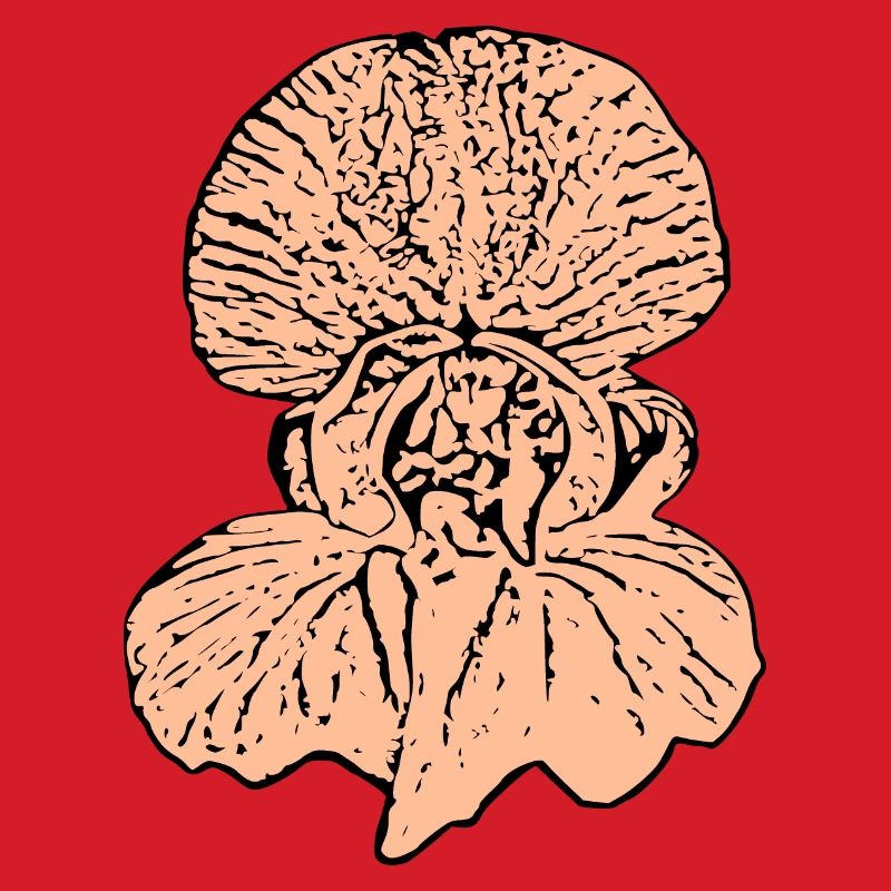 Muttertags Geschenk Mutter Muttertag Geschenkidee 