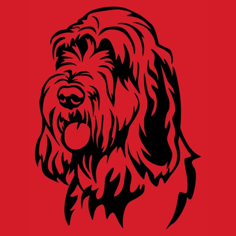 Spinone Italiano Head