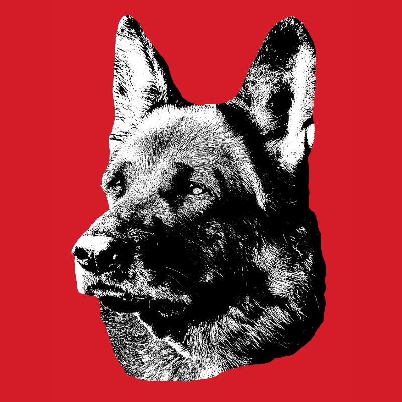 German Shepherd,Dog head,German Shepherd,Dogs