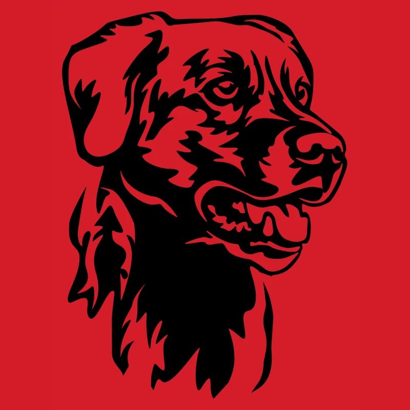 Labrador Head