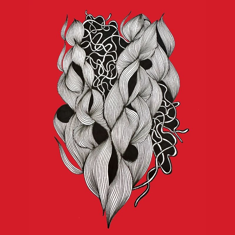 Plexus cardiaque entrelacé