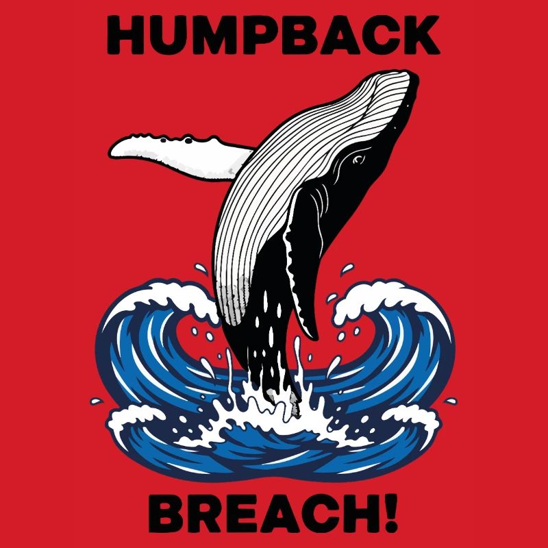 Buckelwalbruch Seebuckelwal
