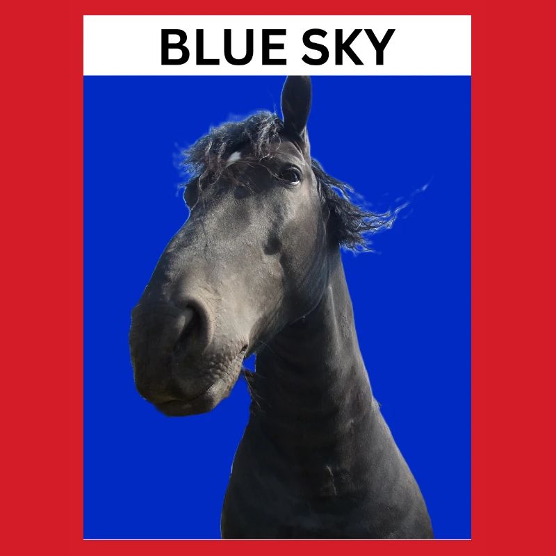 Blauer Himmel und Pferd
