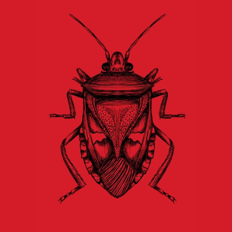 Bug