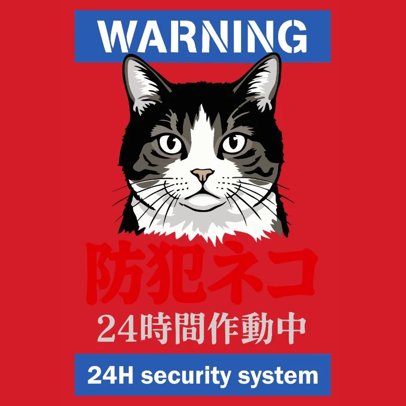 24h Security System