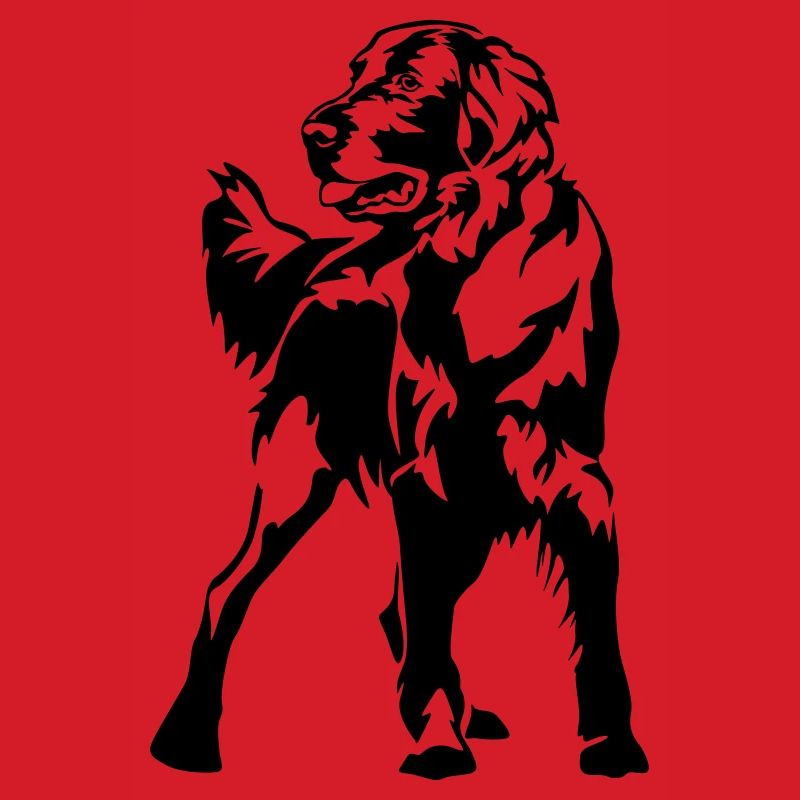 Flat-coated retriever