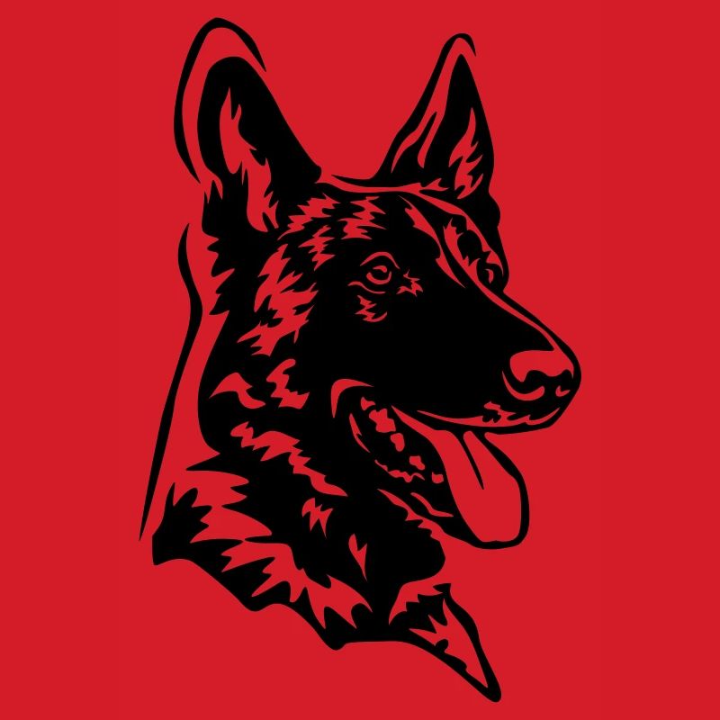 Malinois head