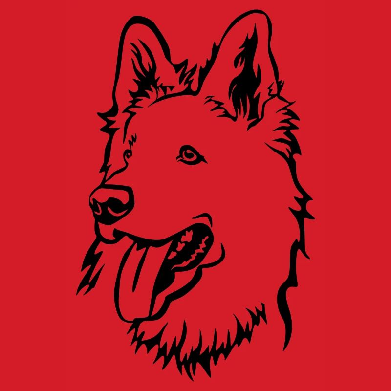 Schweizer Schäferhund Kopf