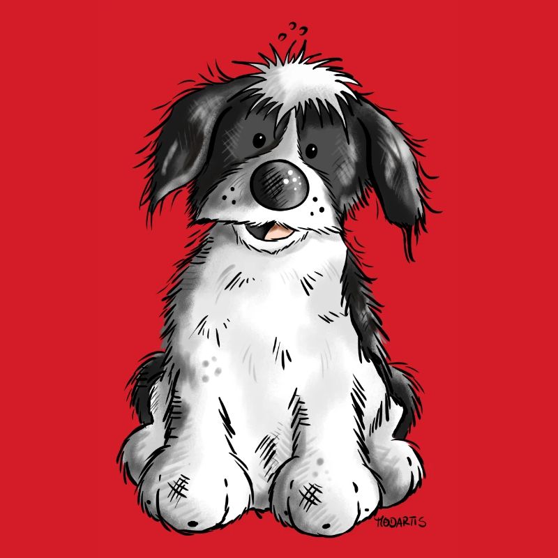 Cute Havanese