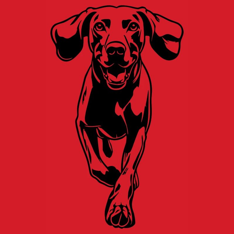Weimaraner