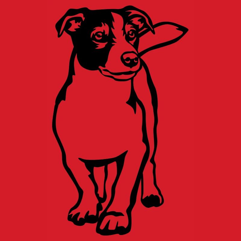 Jack Russell Terrier