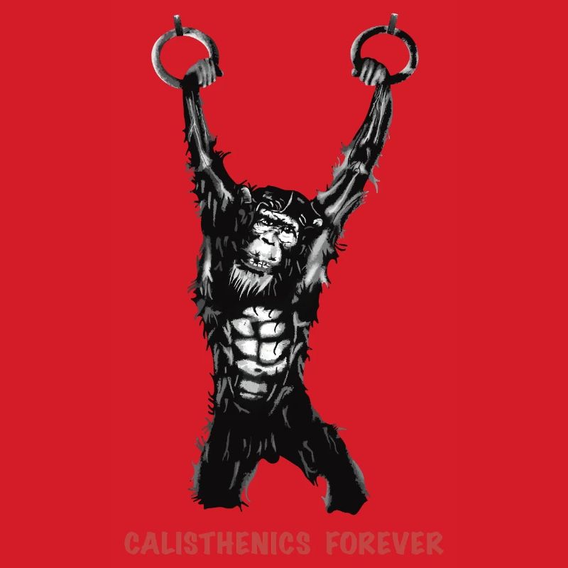 Calisthenics Evolution - Gymnastikringe