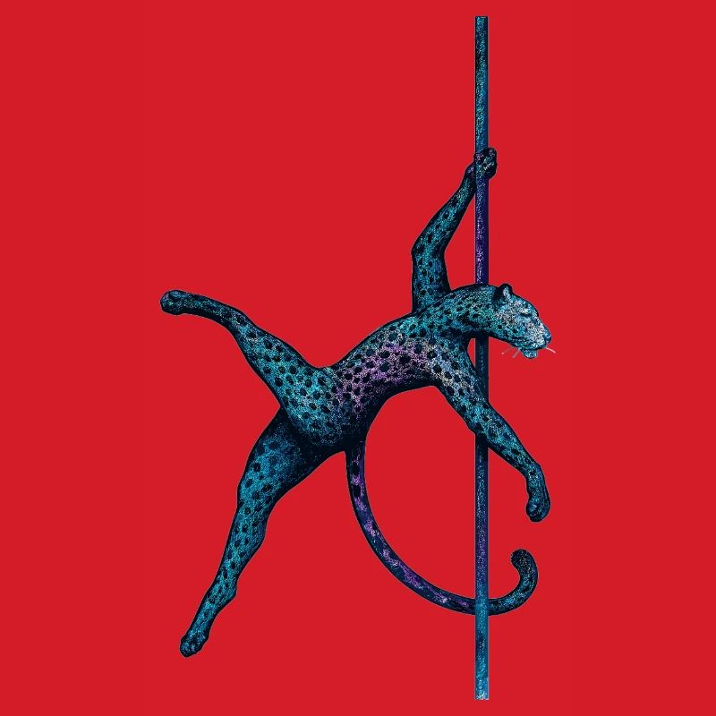 Pole dance Léopard Pole Dancer Pole Cadeau