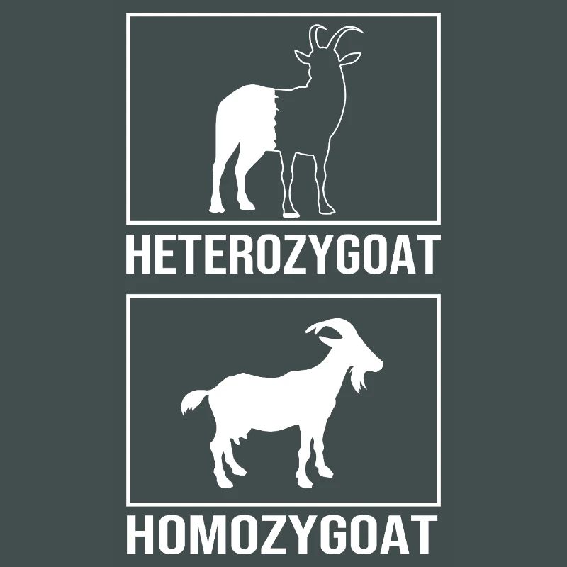 Formule structurale de la molécule