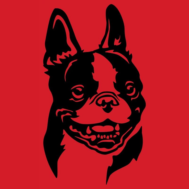 Boston Terrier Head