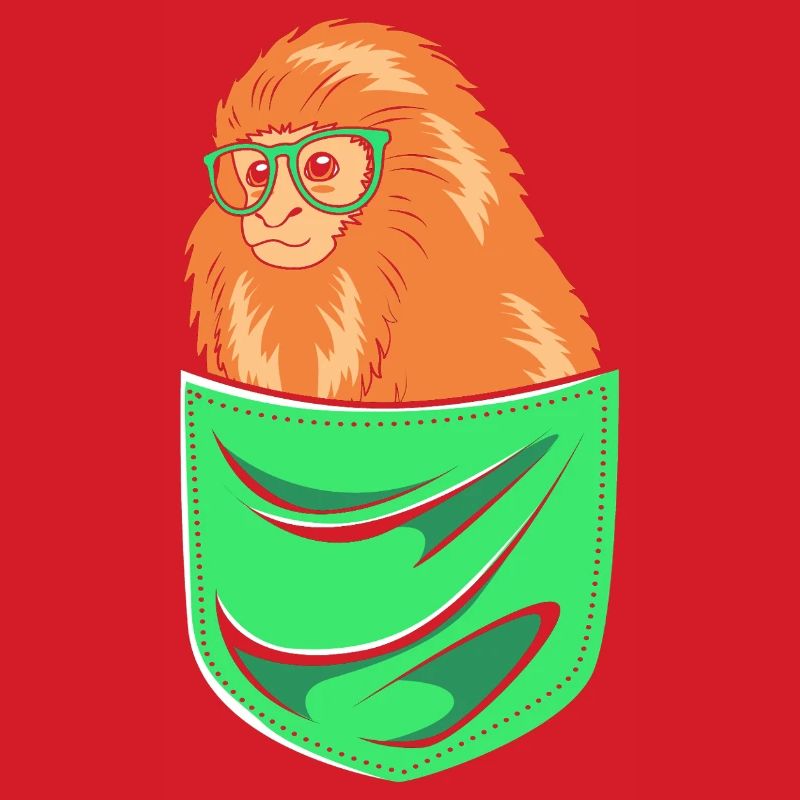 Tamarin Monkey