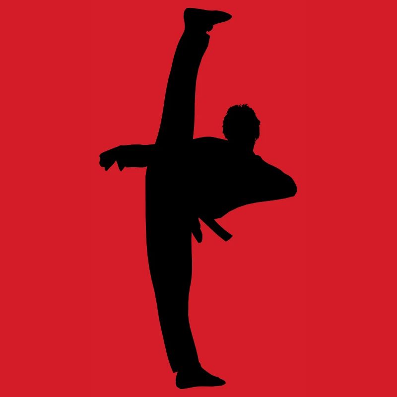High Kick von Taekwondo oder Karate Schattenfigur