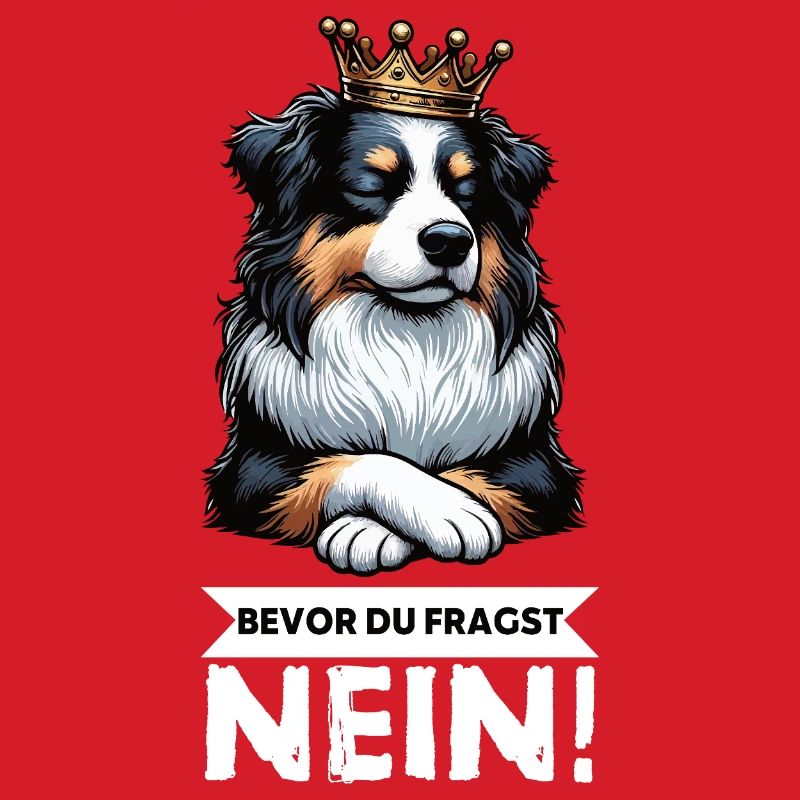 Bevor Du Fragst Australian Shepherd Aussie Aussie