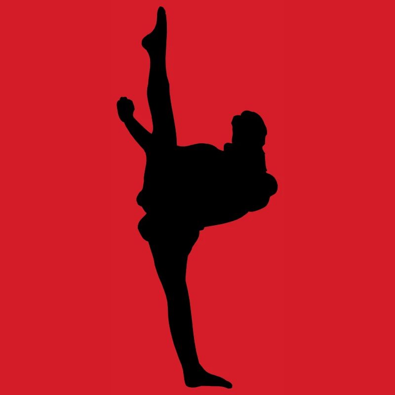 Karate oder Taekwondo High Kick