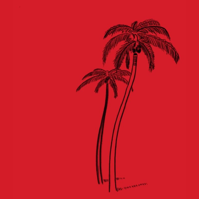 Palm trees with coconut