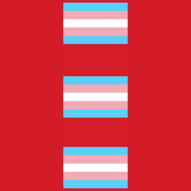 Trans Pride Flags  