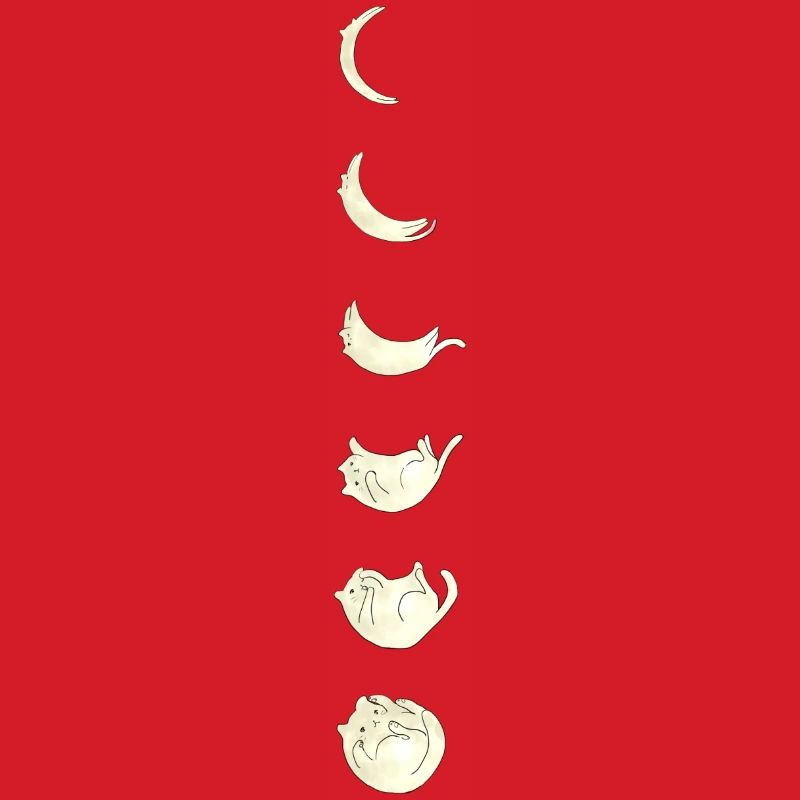 Moon Cat