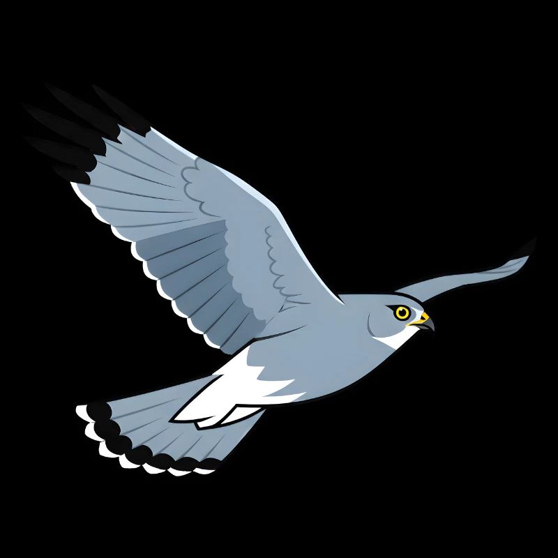 Poule Busard Circus Cyaneus Oiseau de proie