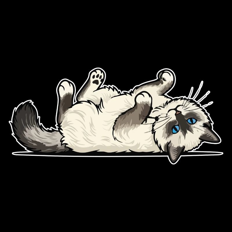 Grey Tabby Cat Marauding Hunter Portrait