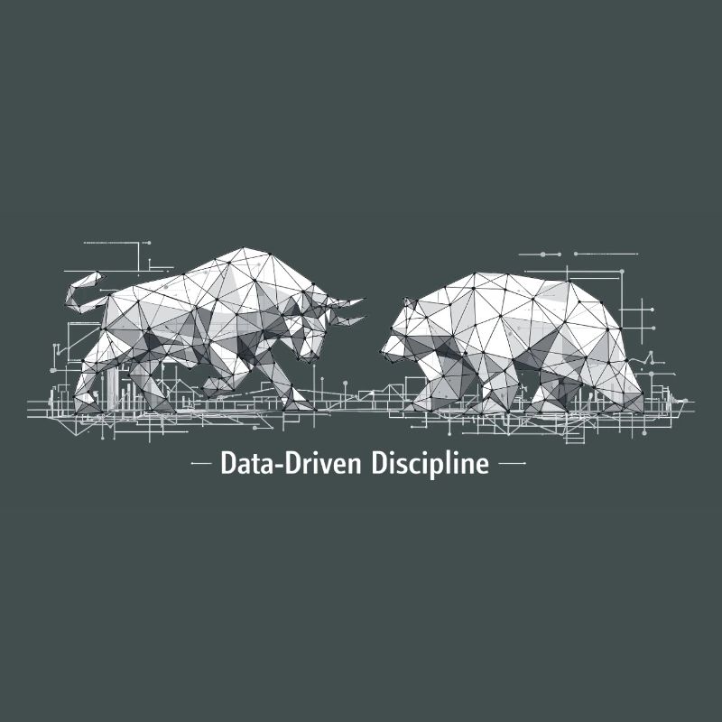 Data-Driven Discipline: Bull & Bear Design
