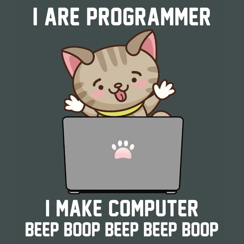 Programmierer