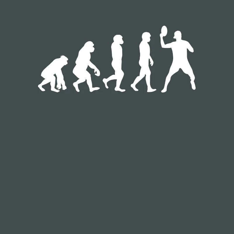 Discgolf Evolution