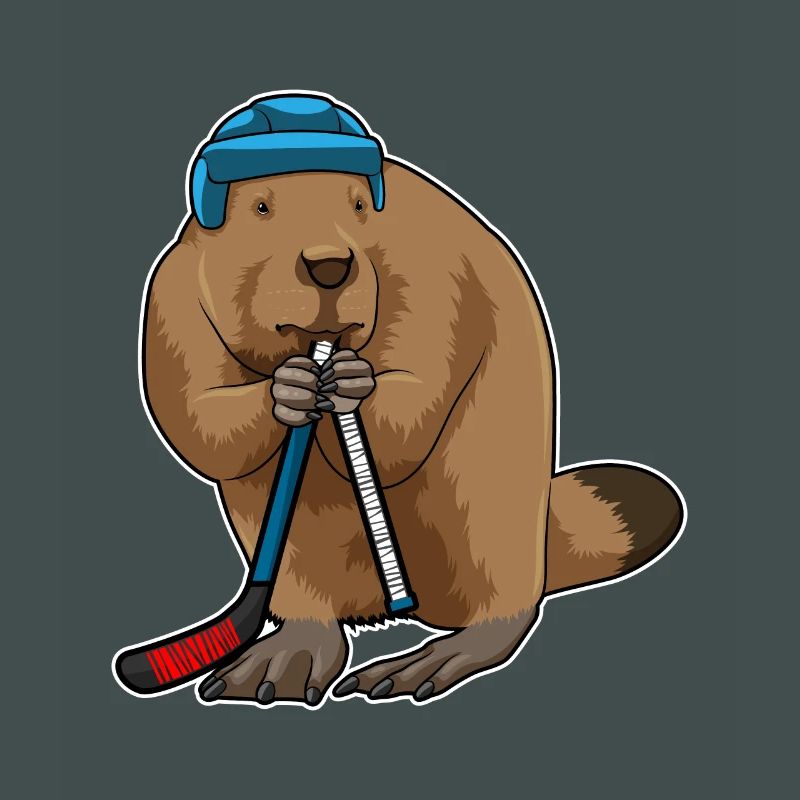 Biber Eishockey Eishockeyschläger