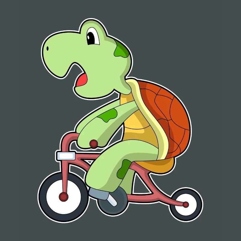 Turtle Bicycle