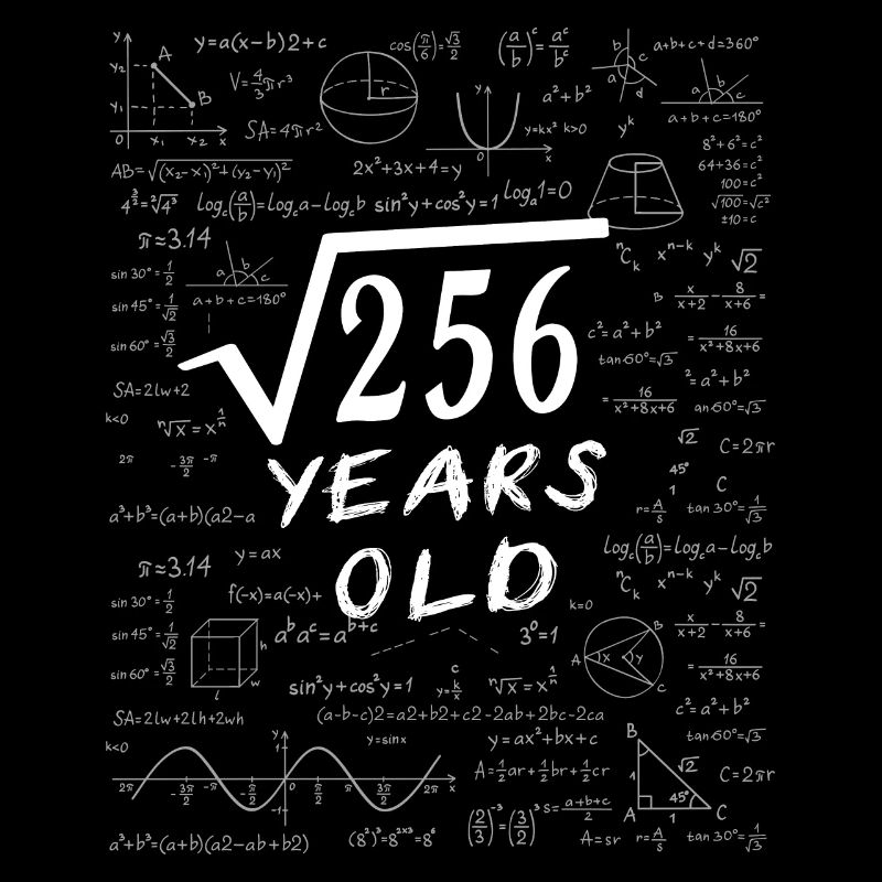 16th Birthday 16 years Square root of 256 math