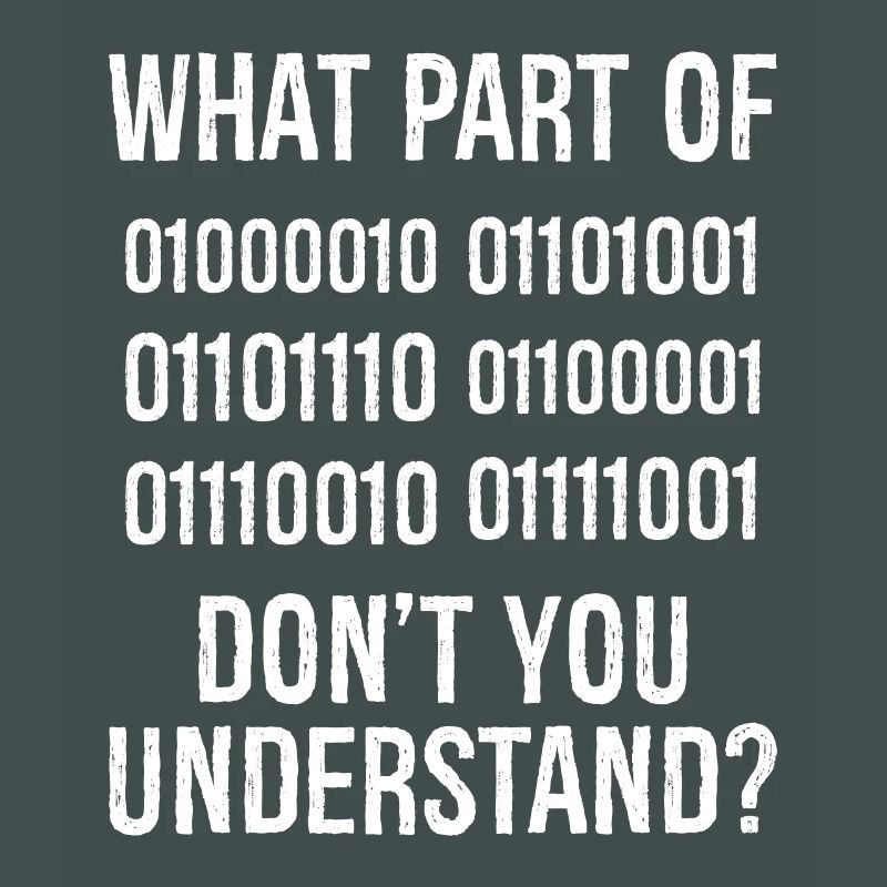What Part of Binary Code Don't You Understand