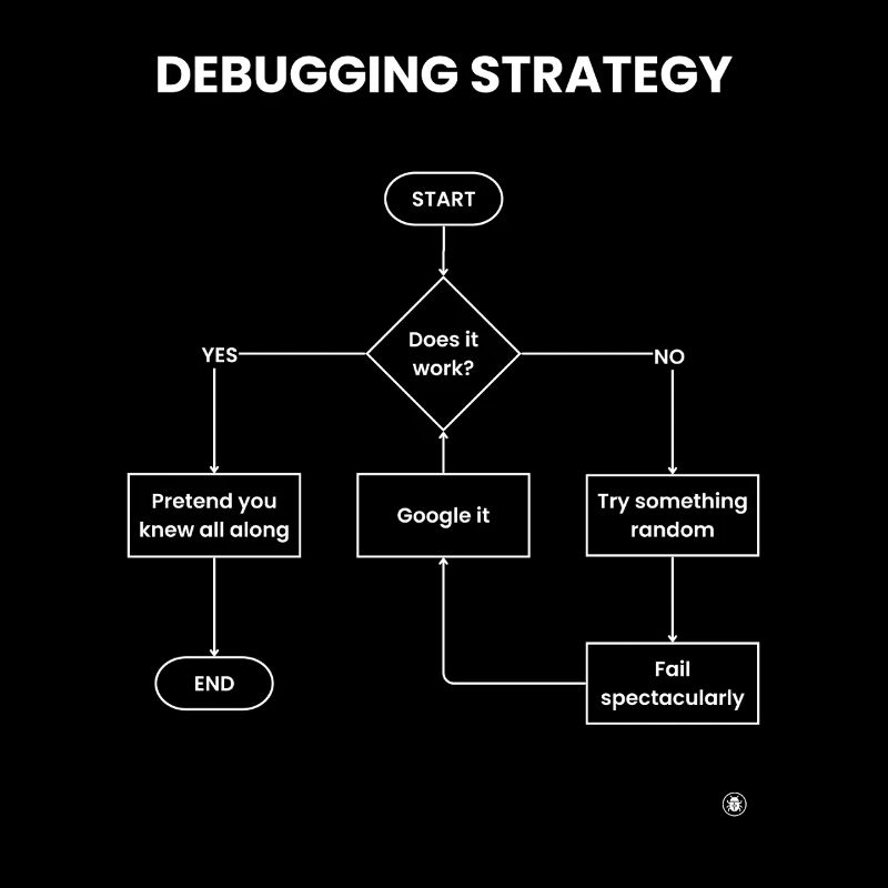 Debugging Strategy Flowchart - Does It Work Gift