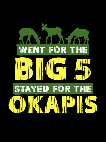 Okapi Animal