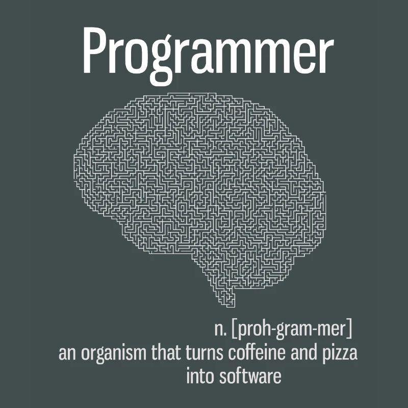 programmer brain pc informatik definition pizza lo