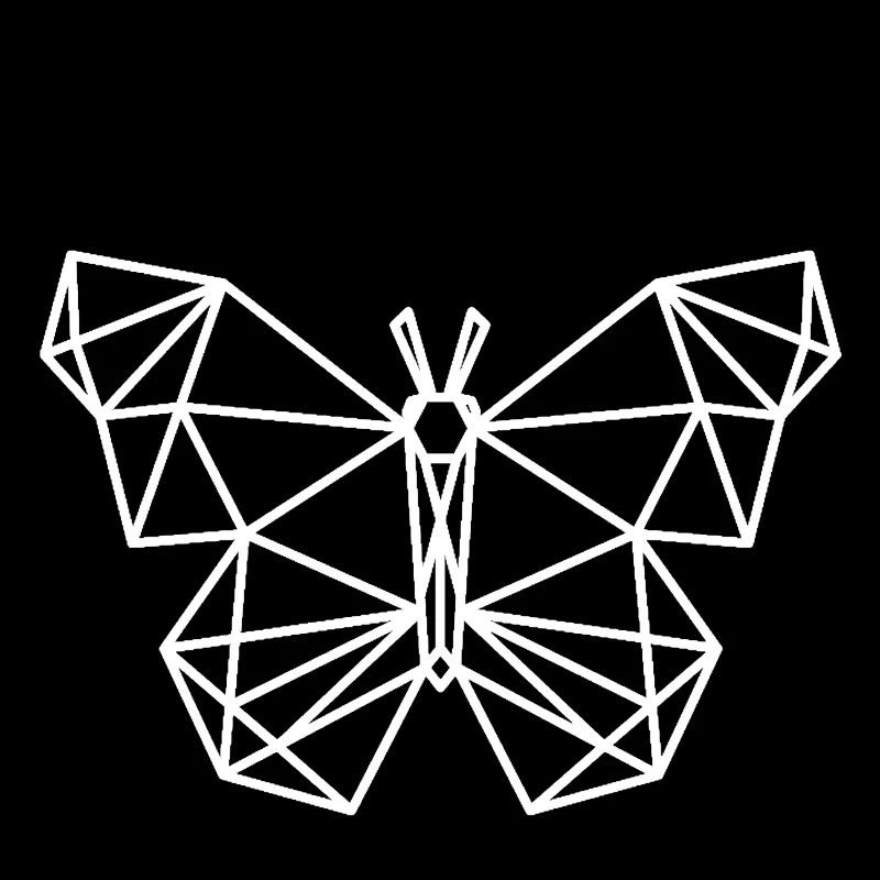 Geometric Butterfly Style