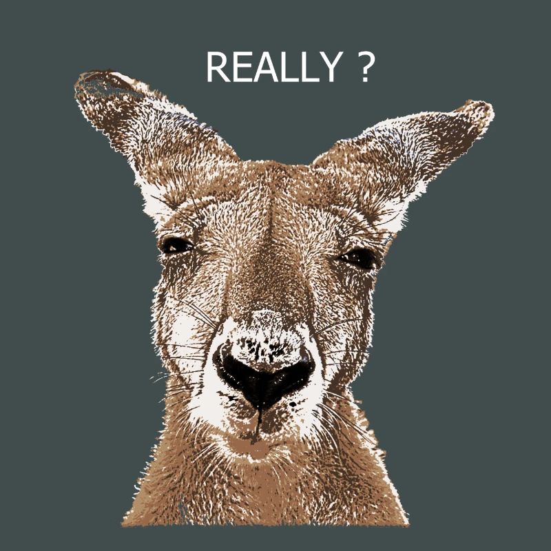 Kangaroo really?