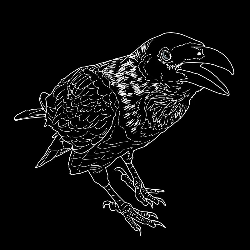 Crow lineart