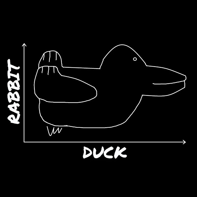 Funny Duck Graphic Rabbit