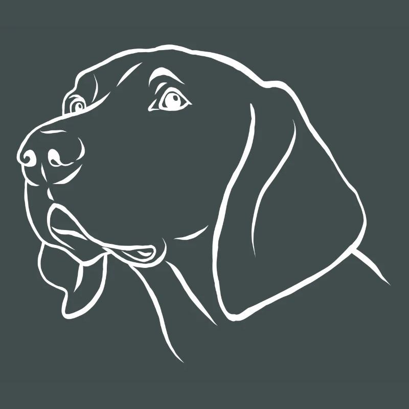Weimaraner