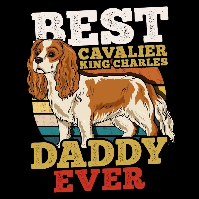Cavalier Roi Charles
