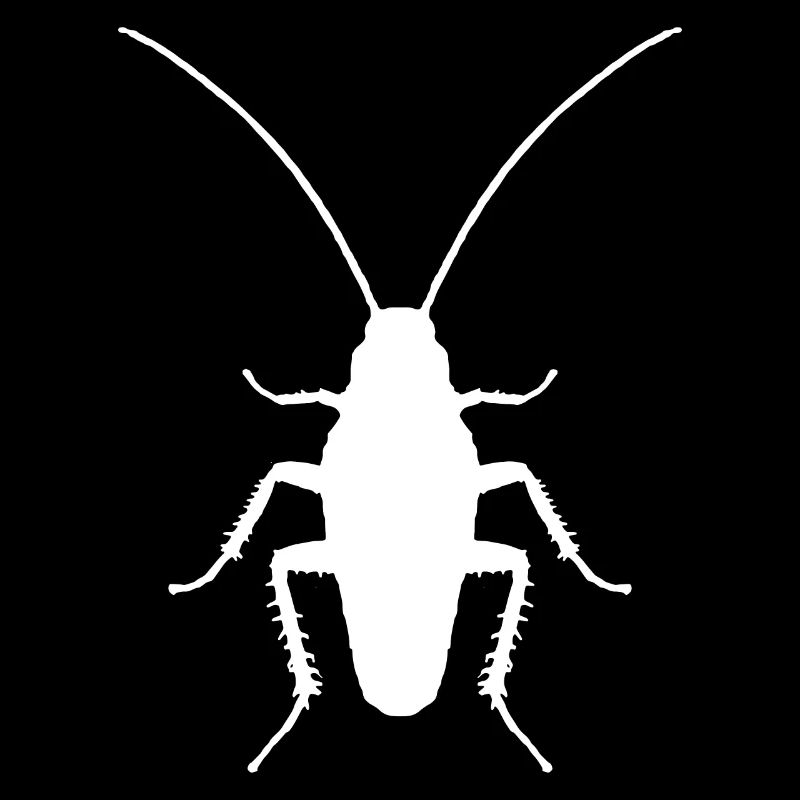 Entomologiste d’insectes cafards