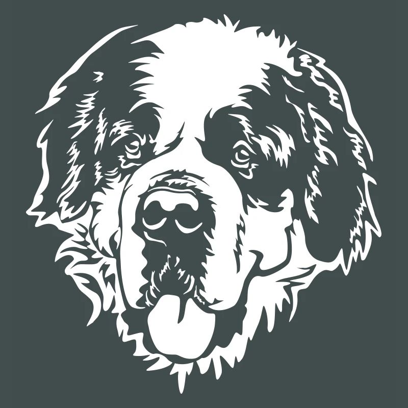 St. Bernard Head "BLack Edition"