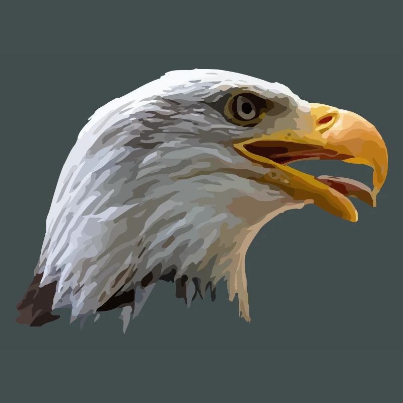 bald eagle