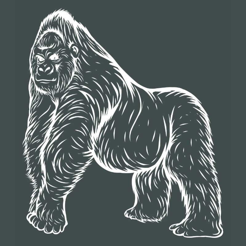gorilla