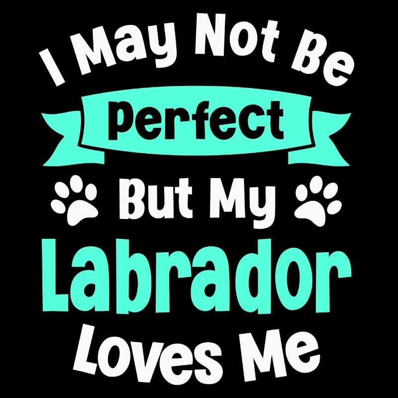 Hund Labrador Retriever